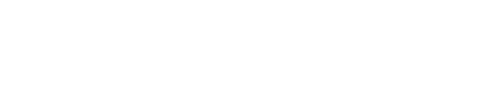 Softanova | Spor Salonu Scripti